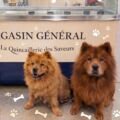 Mascott Mondays at Magasin Général: Your Pups Are Always Welcome!